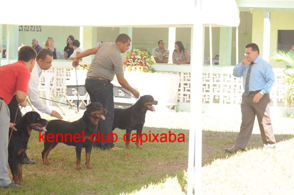 Clique sobre a foto para fechar